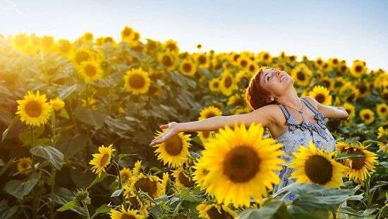 Нутриционисты назвали продукт, который продлит молодость и замедлит старение