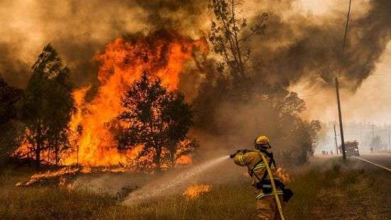 Трамп утвердил Калифорнию зоной стихийного бедствия