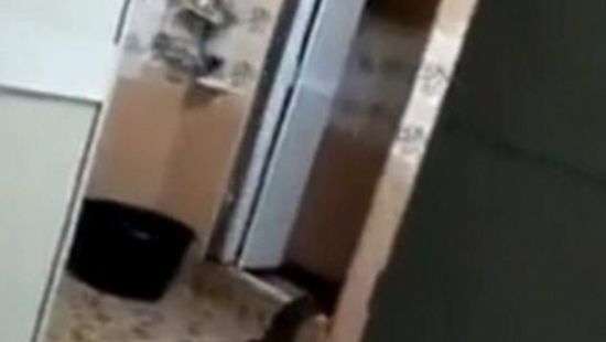 В Малайзии из туалета вылезло «гигантское существо» (ВИДЕО)