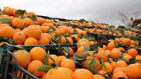 Торговая война России и Турции: в чем плюсы Украины