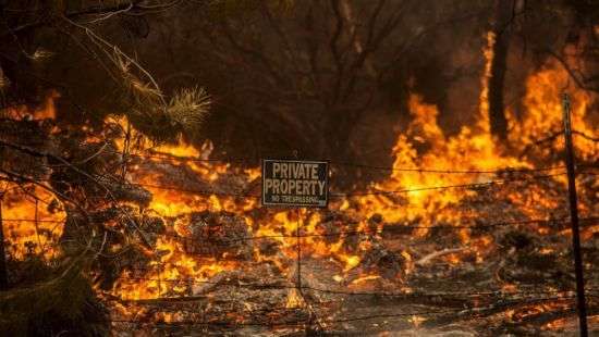 В Калифорнии растет число жертв лесных пожаров