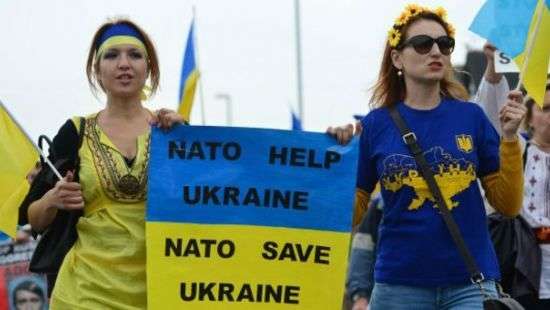 Украине стала доступна логистическая база данных НАТО