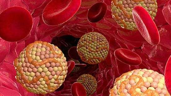 Медики назвали продукты, которые снизят уровень холестерина