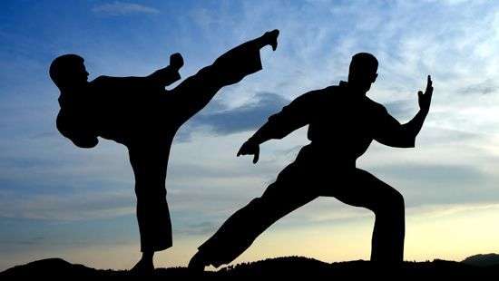 Специалисты назвали 5 лучших видов единоборств для быстрого похудения