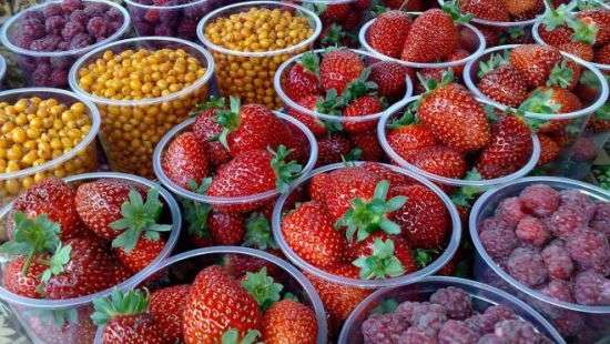 Украина обеспечила европейцев орехами и ягодами на миллионы долларов