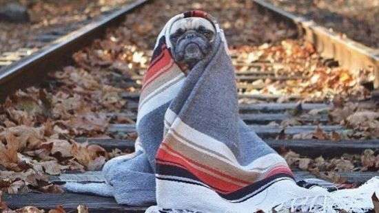 Как справиться с «осенними неприятностями», рассказали эксперты