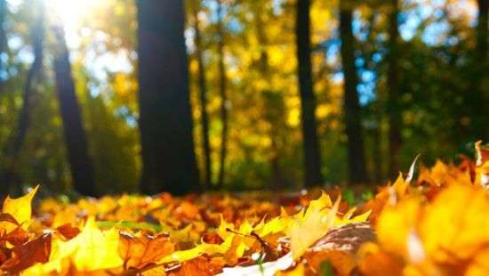 Синоптики обещают сегодня последний теплый день перед похолоданием