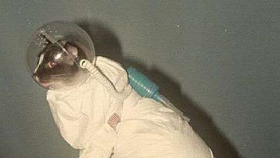 Во Франции собирают деньги на памятник кошке-космонавту