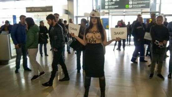 Активистка Femen в костюме овцы оголила грудь в Борисполе - ВИДЕО