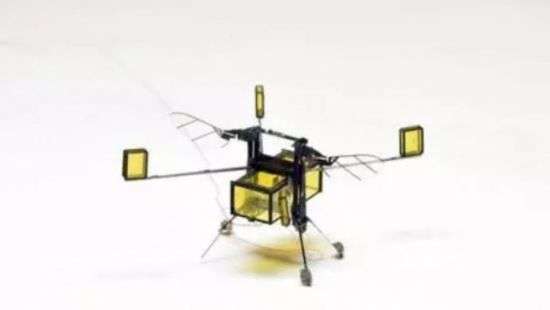 В Гарварде создали робопчелу