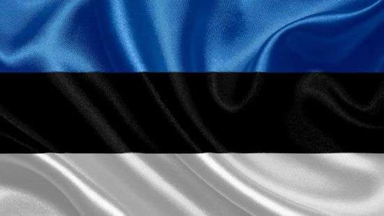 В Эстонии появилось мороженое, окрашенное в цвета национального флага