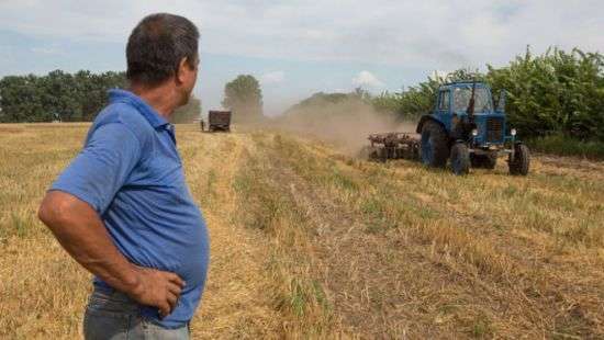 Ограничение дотаций агрохолдингам приведет к катастрофическому сокращению рабочих мест, – эксперт