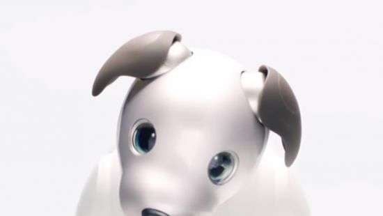 Sony создала робота-собаку