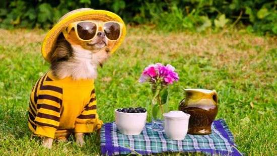 Интересный способ получить дополнительные выходные