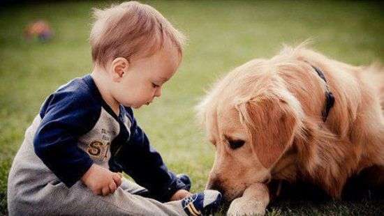 Специалисты рассказали, от каких болезней защитит домашняя собака