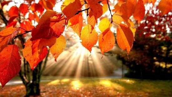 На Украину надвигается сырой циклон Ингольф