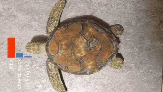 Искусственный интеллект принял черепаху за ружьё