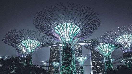 Какой будет жизнь в 2030 году