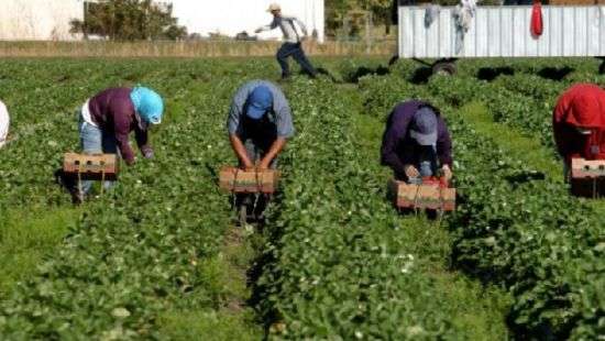 Польша примет больше работников из Украины