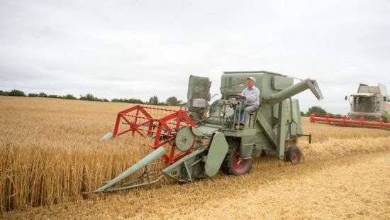 Перераспределение сверхприбыли зерновиков сэкономит государству 20 млрд грн