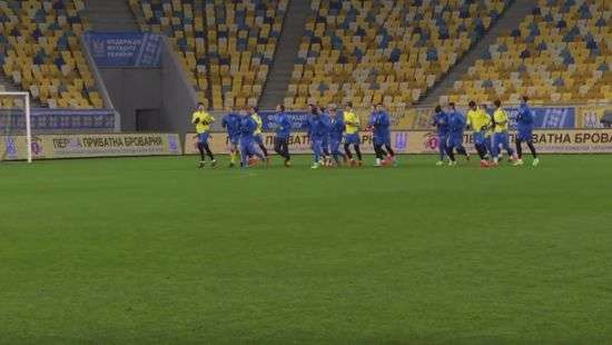 Шевченко назвал «огородом» газон стадиона во Львове