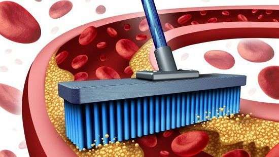 Как очищать кровь прямо на ходу, придумали ученые