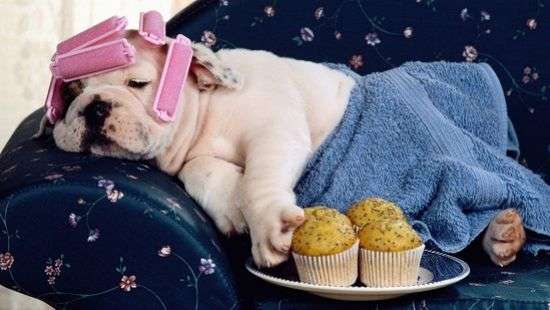 Как быстро восстановиться после ОРВИ, рассказали  специалисты