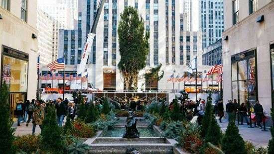 В Нью-Йорке установили главную рождественскую ель США - ФОТО