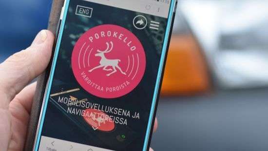 В Финляндии запустили приложение для отслеживания оленей на дорогах