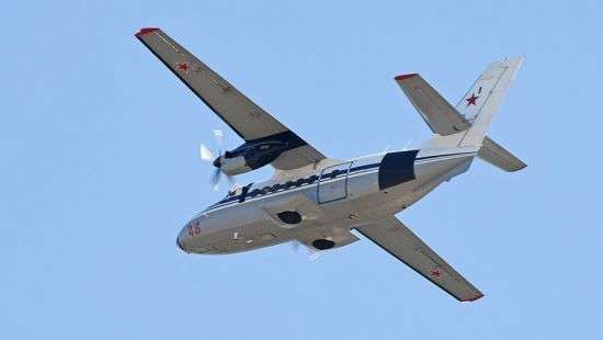 В России при крушении самолета выжил четырехлетний ребенок