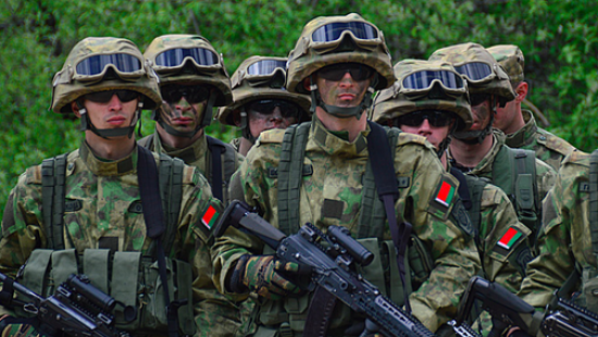 Беларусь готова предоставить миротворцев для урегулирования ситуации на Донбассе