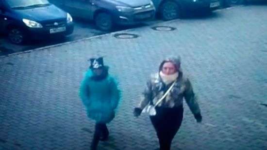 В России девочка грабила квартиры с помощью хомяка (видео)