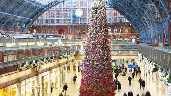 В Лондоне установили рождественскую елку из цветов (ФОТО)