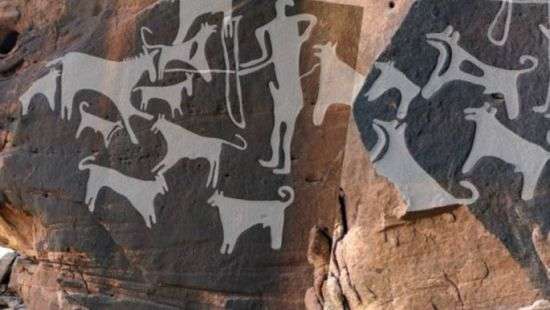 Археологи нашли изображения собак, которым не менее 8 тысяч лет (видео)