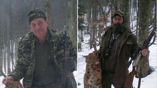 Закарпатские егери заявили, что нашли краснокнижную рысь уже мертвой