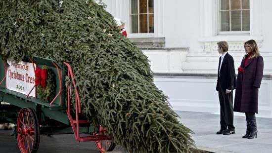 Меланья Трамп с сыном встретили рождественскую ель для Белого дома