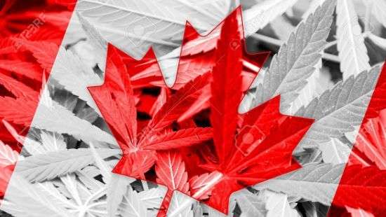 В Канаде включат в госстатистику доходы от марихуаны