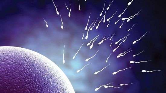 Медики назвали причину бесплодия у семейных пар