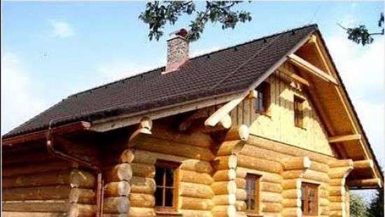 Экс-глава КП «Плесо» построил дом в Гидропарке