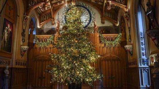 В королевском замке Британии установили Рождественскую елку (ФОТО)