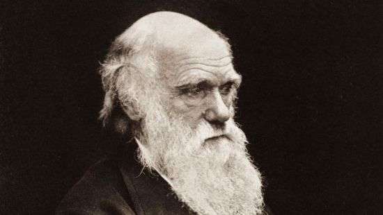 Аукцион: «Происхождение видов» Дарвина может затянуть на $667 тысяч