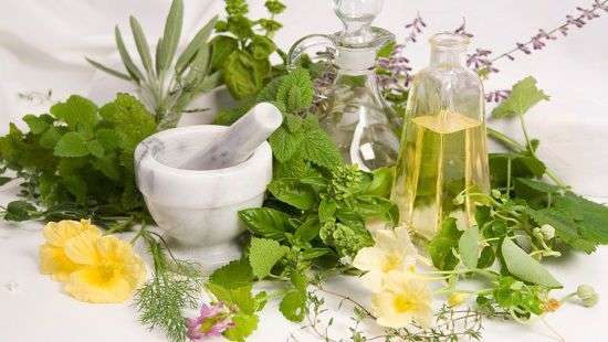 Сохранить уровень гормонов в норме помогут травы, топ-5