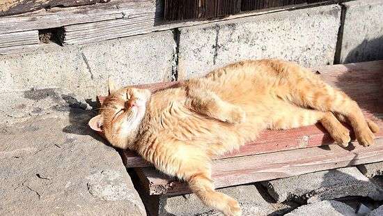 Жители необычного острова получили щедрый подарок (ФОТО)