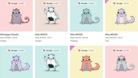 В криптокотиков инвестировали внушительную сумму