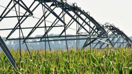 Китайцы будут обрабатывать земли Академии аграрных наук