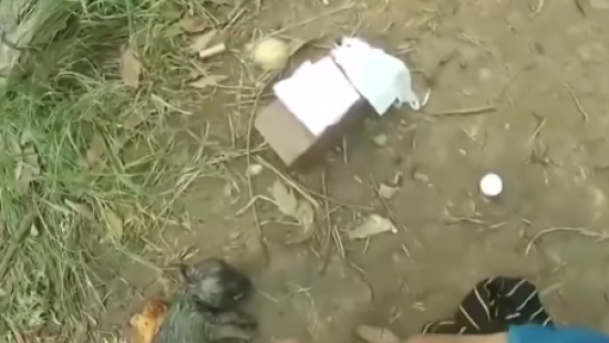 Обнародовано трогательное видео спасения тонущего щенка (ВИДЕО)