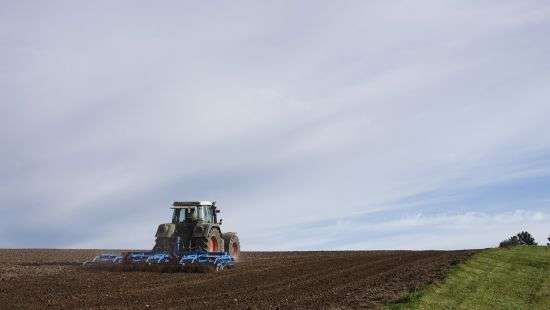 Почему Академия аграрных наук провалилась в собственных аграрных проектах