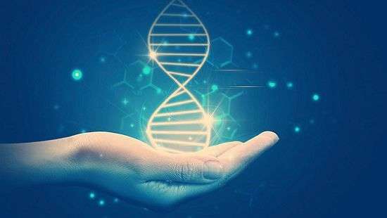 Врачи назвали главный фактор долголетия