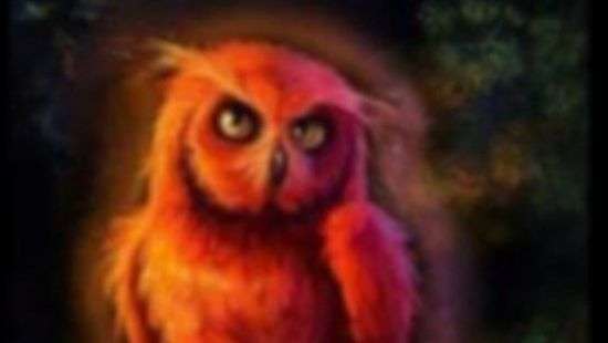 В Украине подростков вовлекают в новую смертельную игру