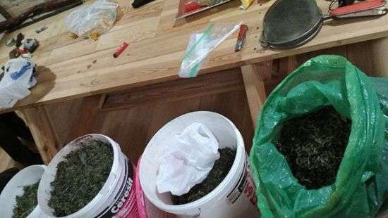 СБУ оставила Украину без кокаина